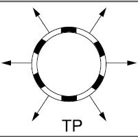 Drenāžas caurules TP perforācija - pilnīgi perforēts 360 grādu leņķī