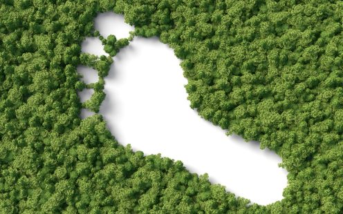 Pēdas simbola nospiedums 3D meža grafikā